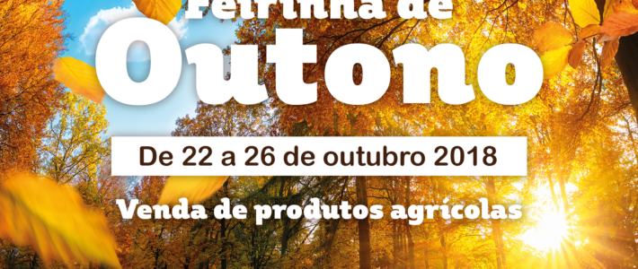 Feirinha de Outono