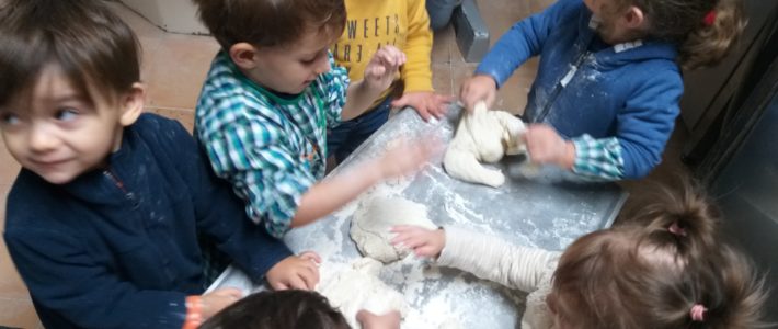 Dia Mundial da Alimentação Dia Mundial da Alimentação